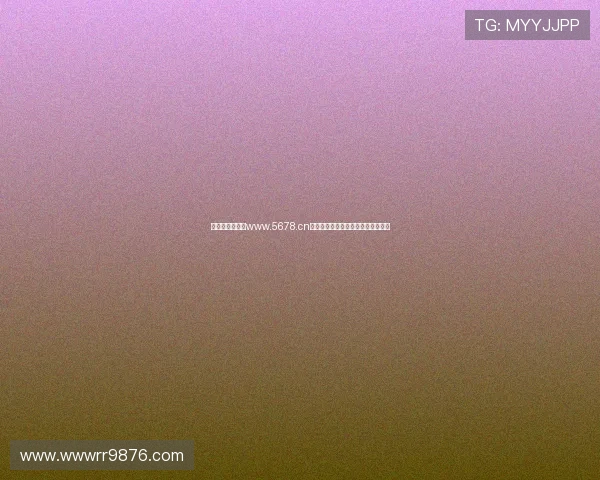 免费下载并安装www.5678.cn免费网站浏览器，畅享极速上网体验